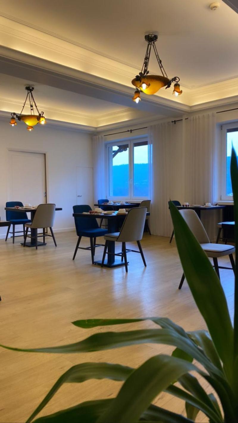 Hotel Le Bellevue Les Roches-de-Condrieu 外观 照片